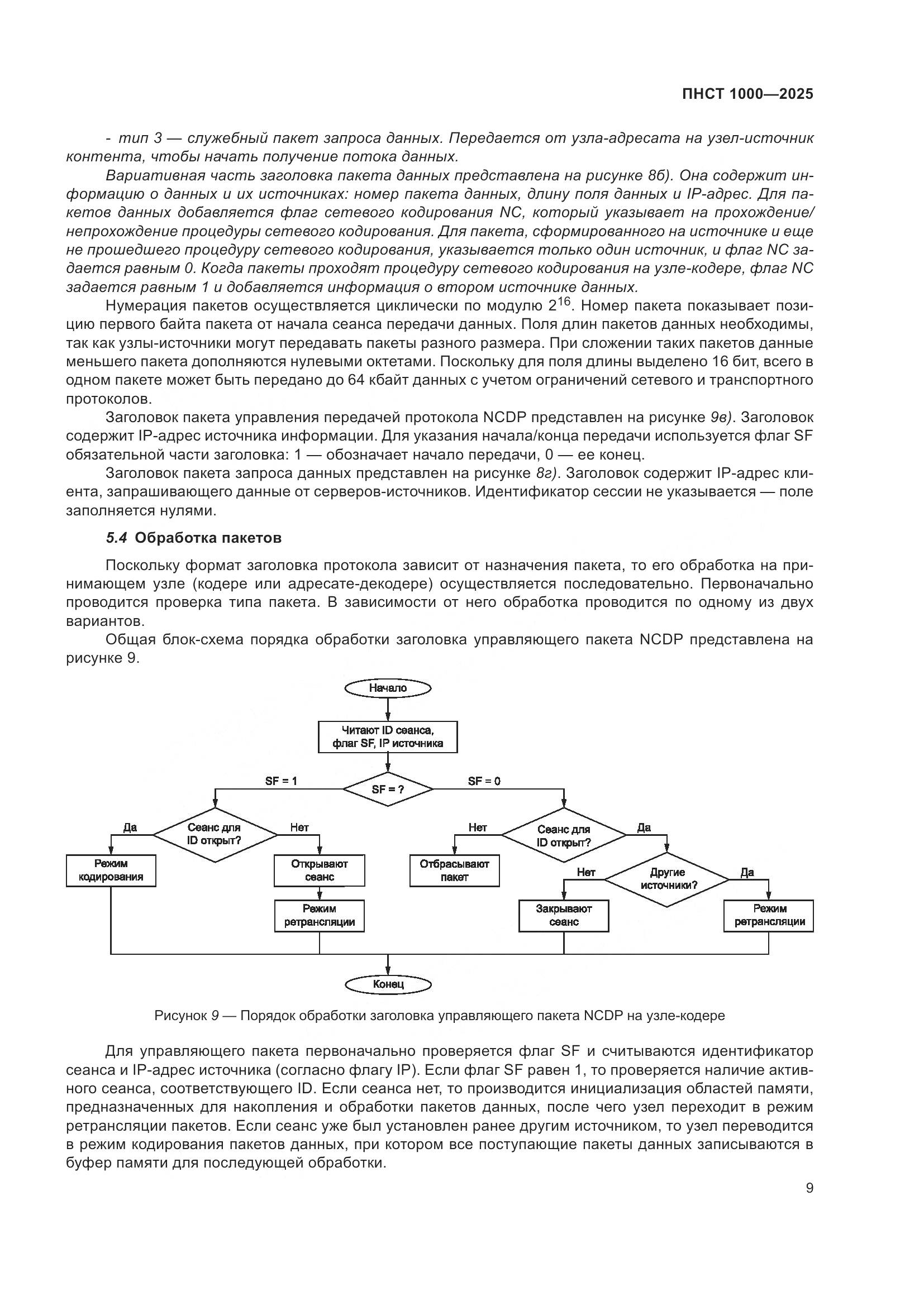 ПНСТ 1000-2025, страница 13