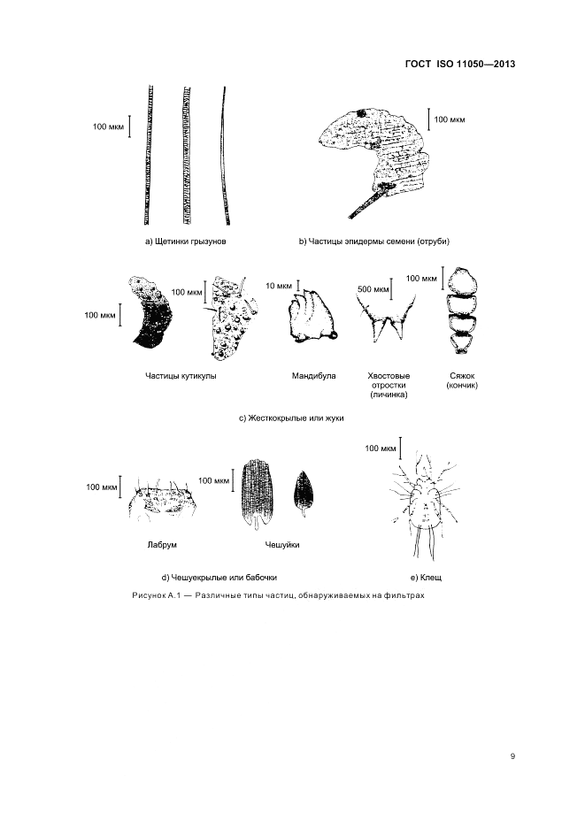 ГОСТ ISO 11050-2013, страница 13