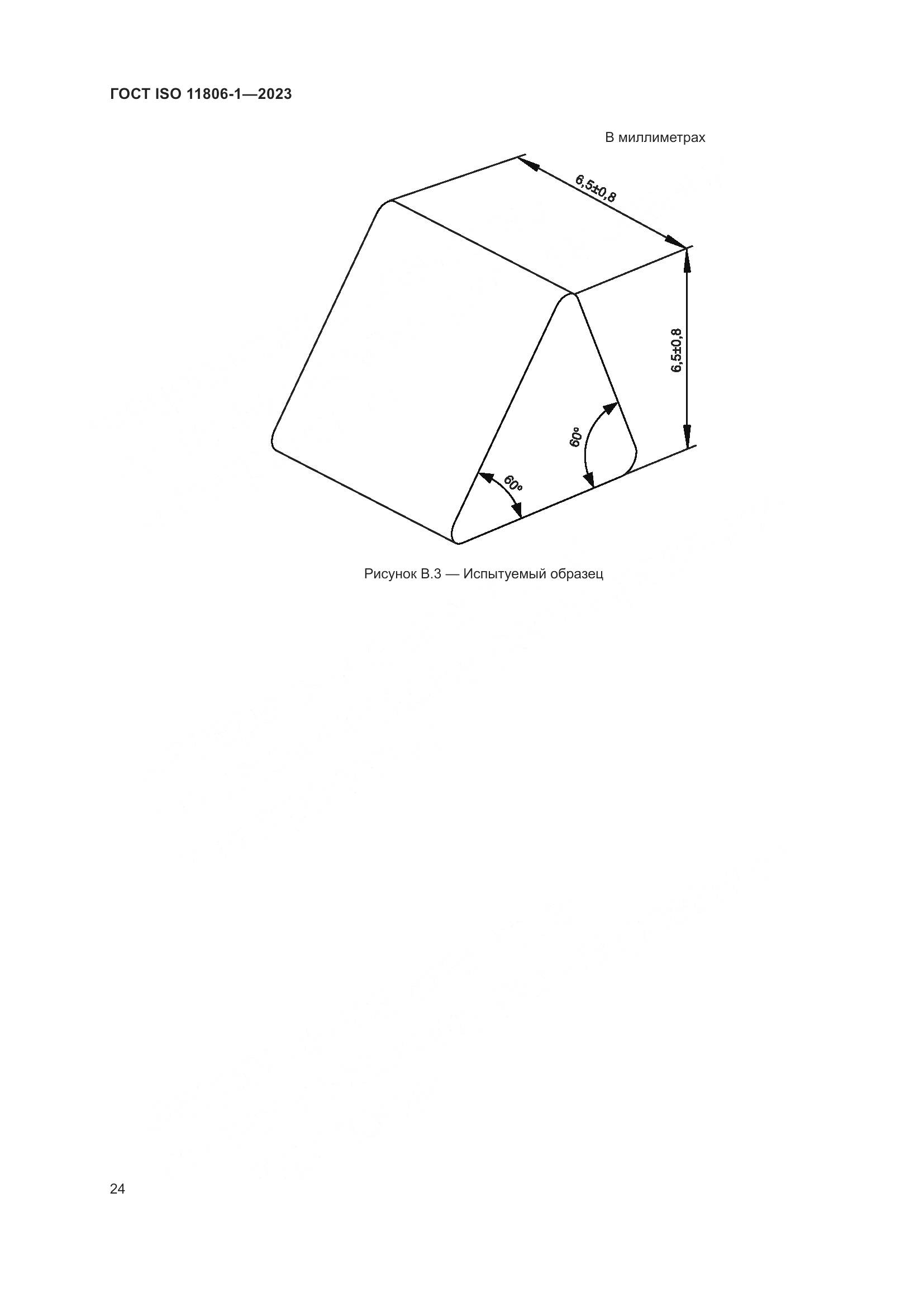 ГОСТ ISO 11806-1-2023, страница 30