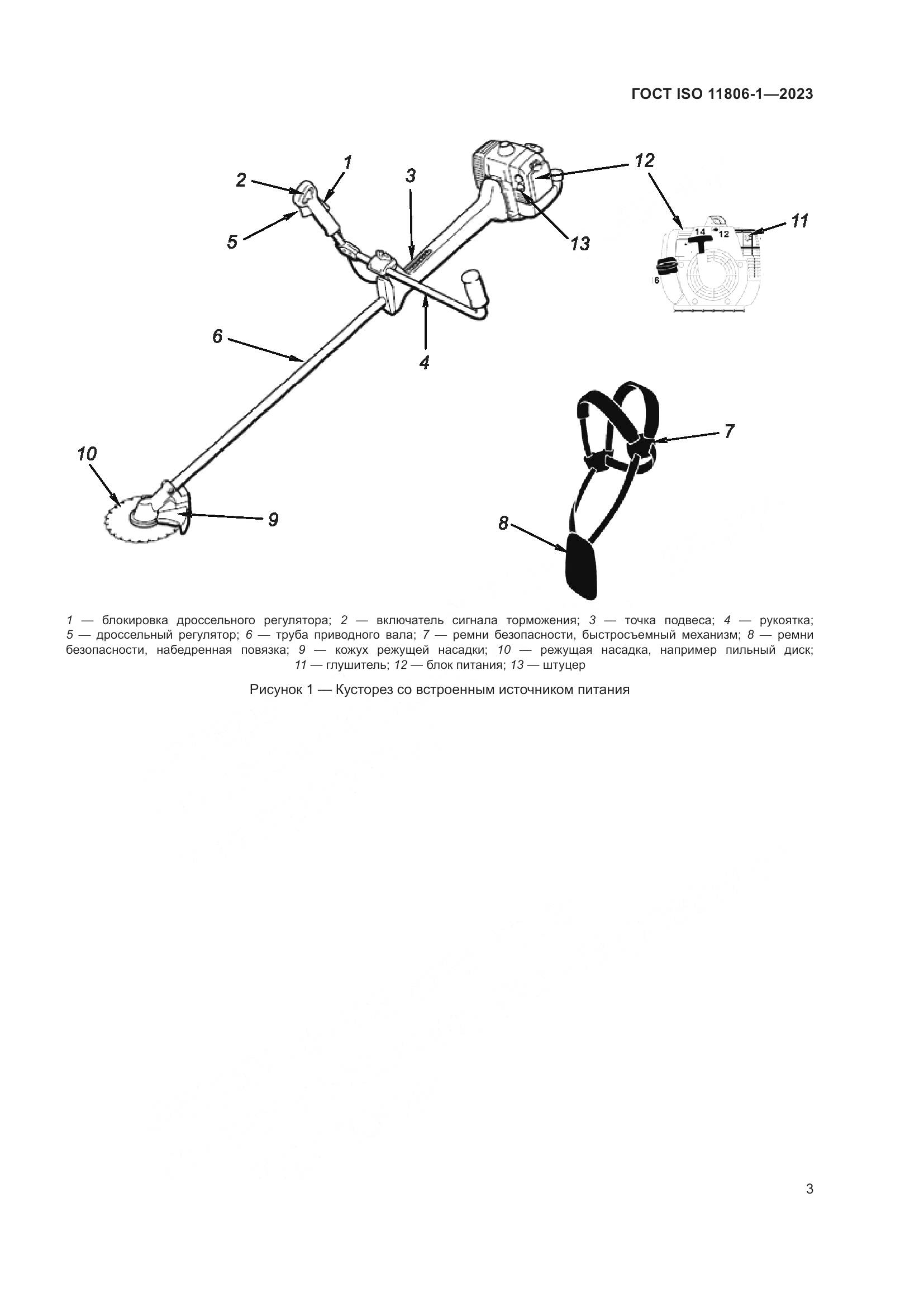 ГОСТ ISO 11806-1-2023, страница 9