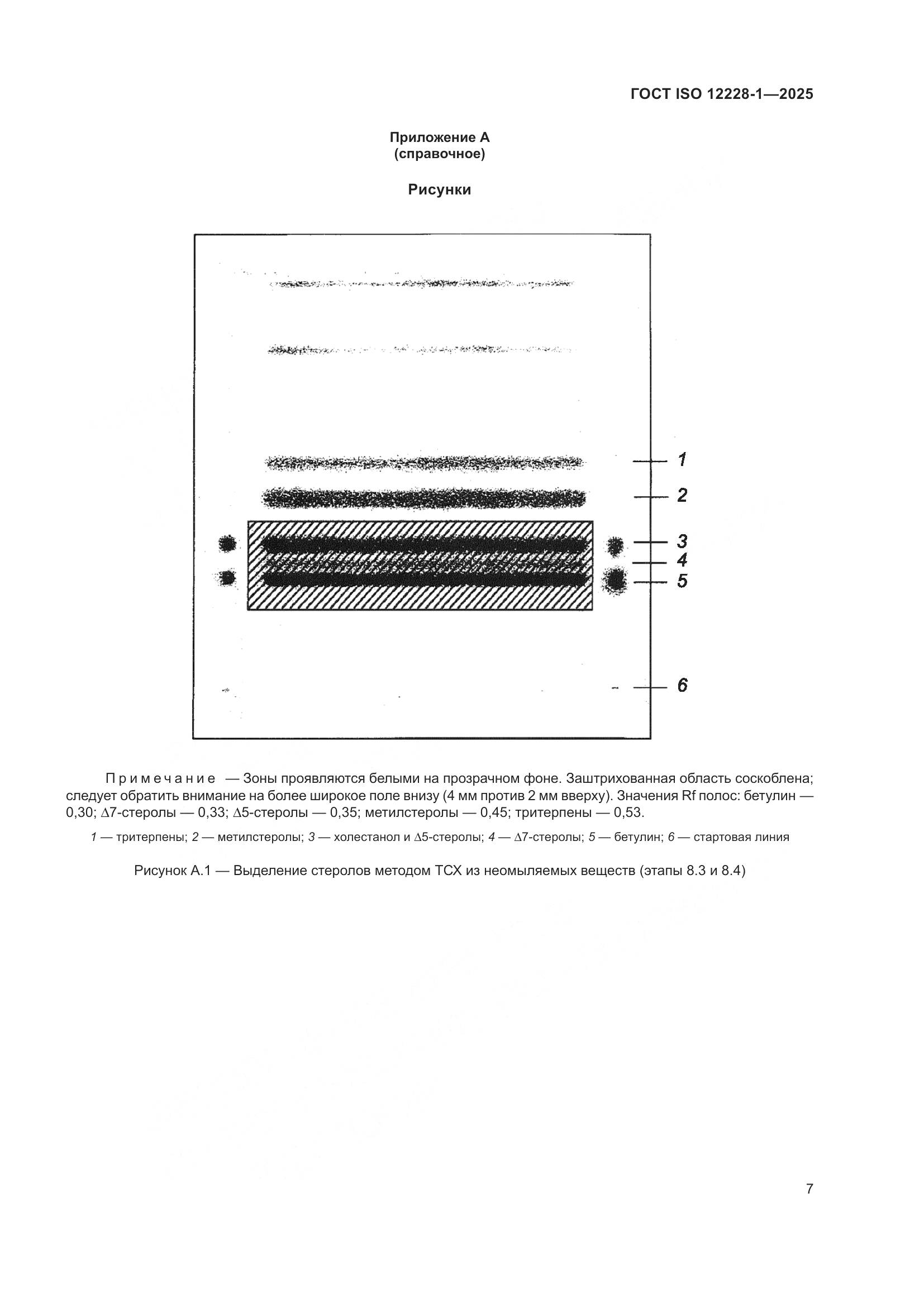 ГОСТ ISO 12228-1-2025, страница 11