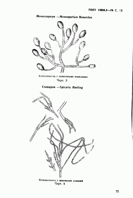 ГОСТ 13056.5-76, страница 13