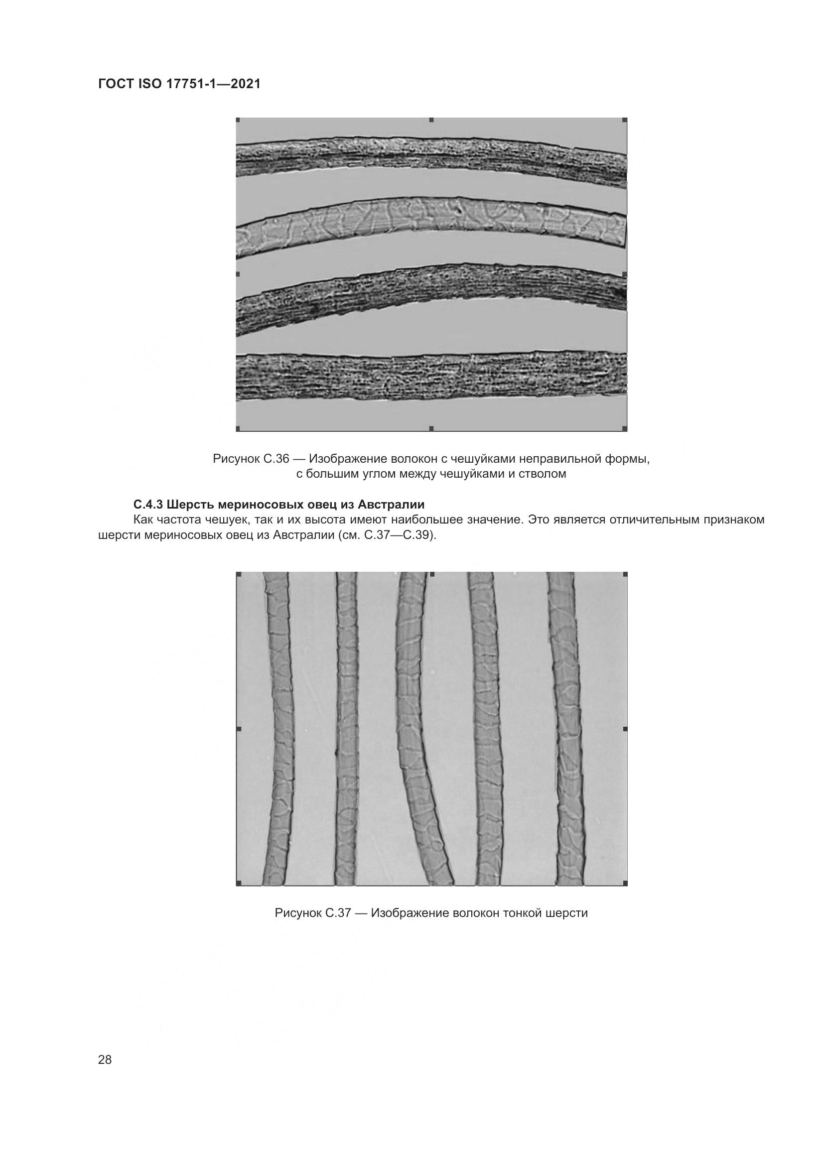 ГОСТ ISO  17751-1-2021, страница 36