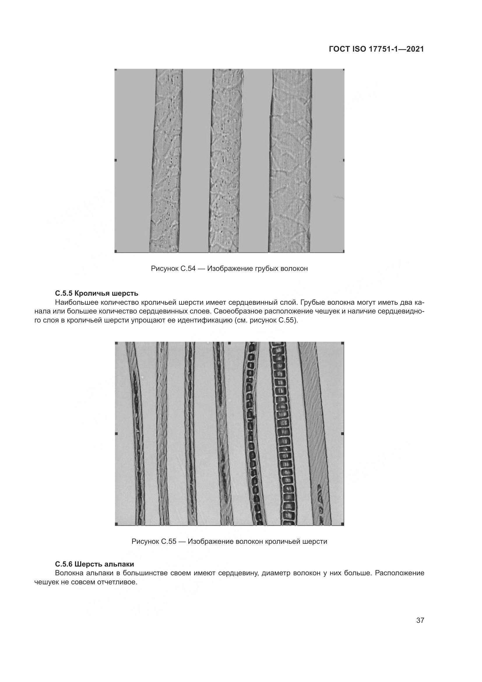 ГОСТ ISO  17751-1-2021, страница 45