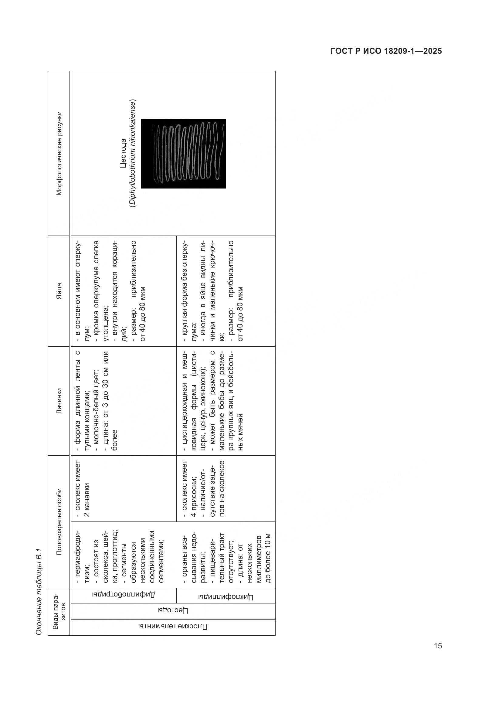 ГОСТ Р ИСО 18209-1-2025, страница 19