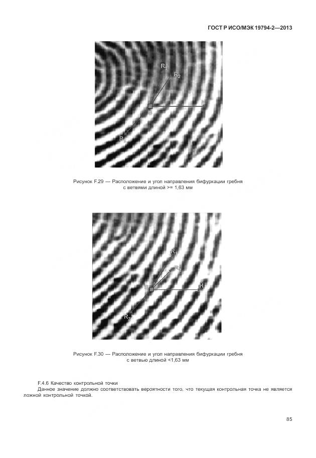 ГОСТ Р ИСО/МЭК 19794-2-2013, страница 89