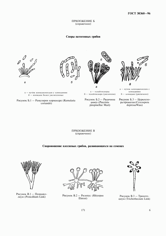 ГОСТ 30360-96, страница 8