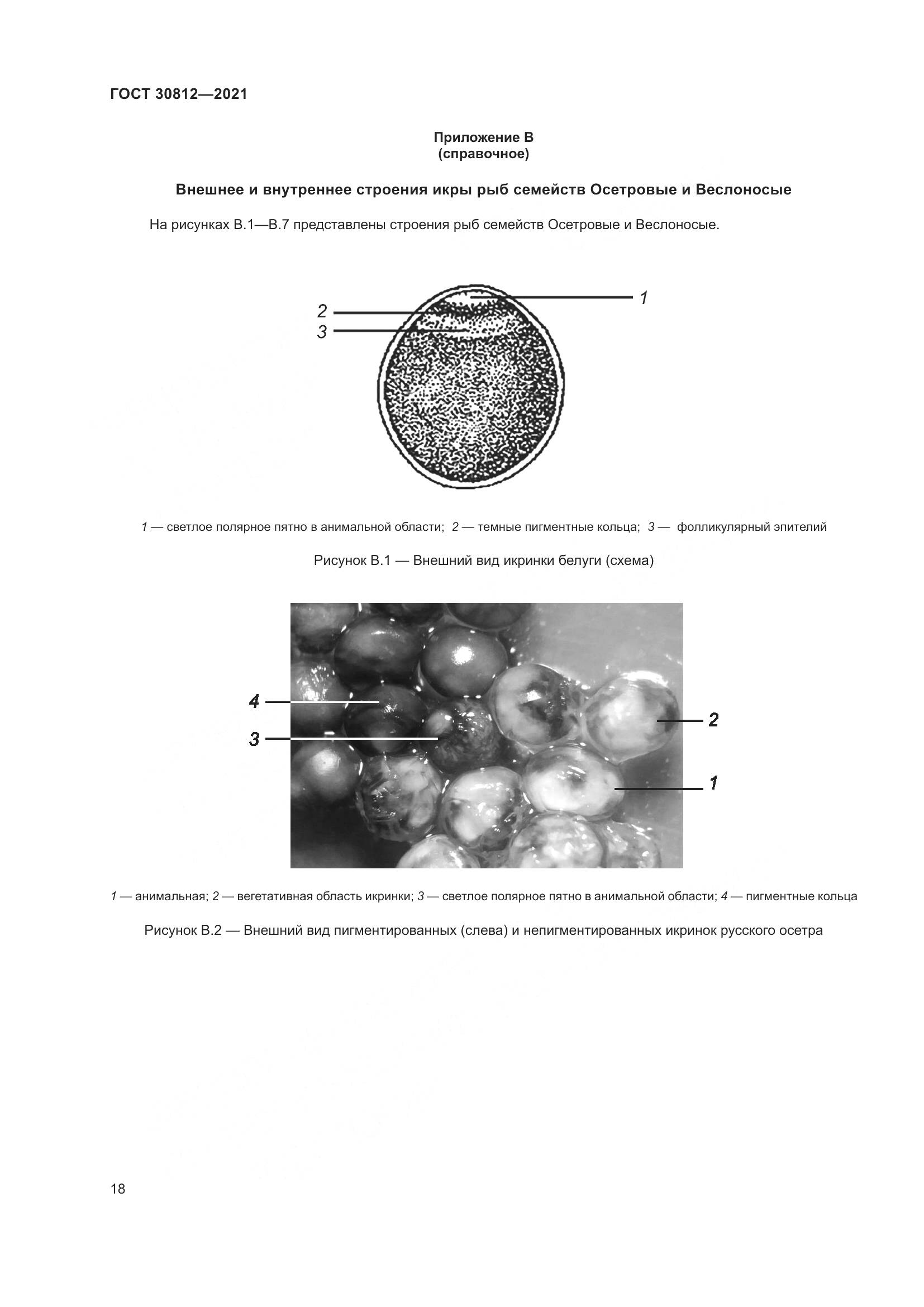 ГОСТ  30812-2021, страница 24