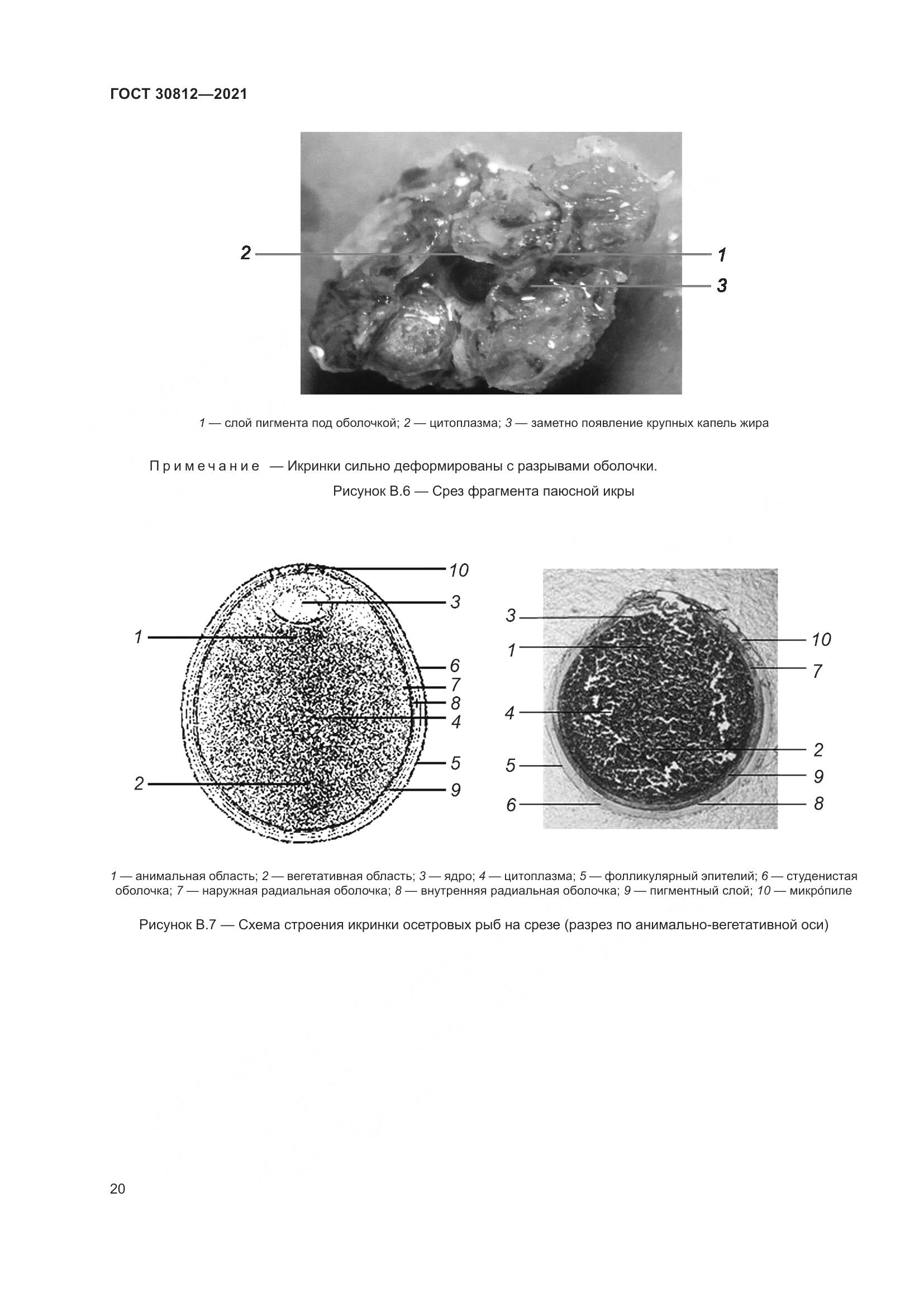 ГОСТ  30812-2021, страница 26