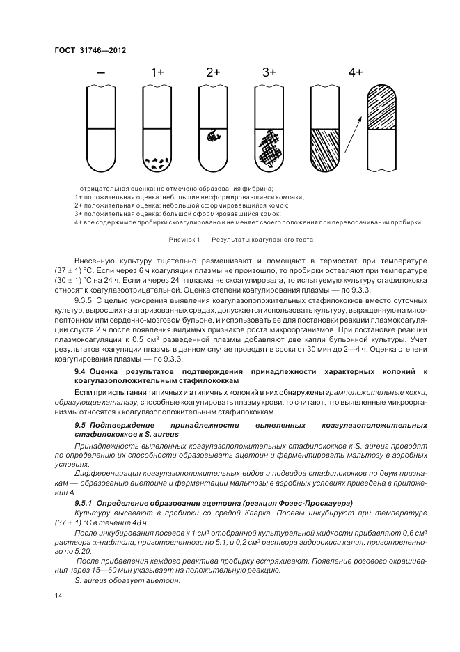 ГОСТ 31746-2012, страница 18