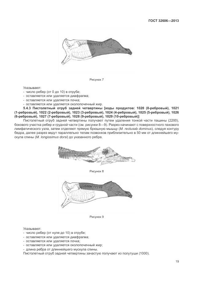 ГОСТ 32606-2013, страница 25
