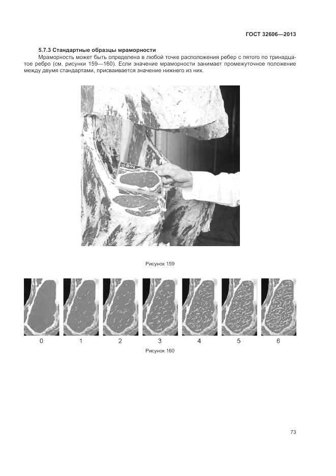 ГОСТ 32606-2013, страница 79