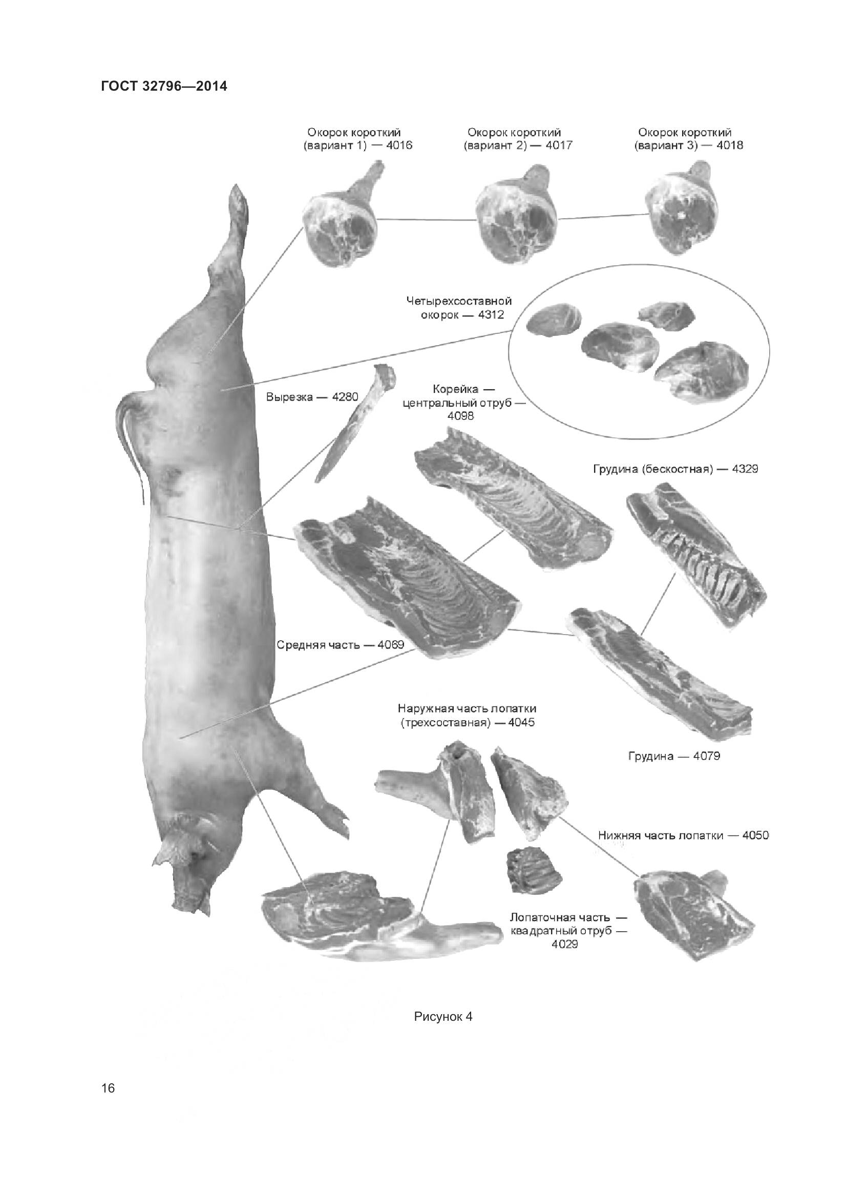 ГОСТ 32796-2014, страница 22