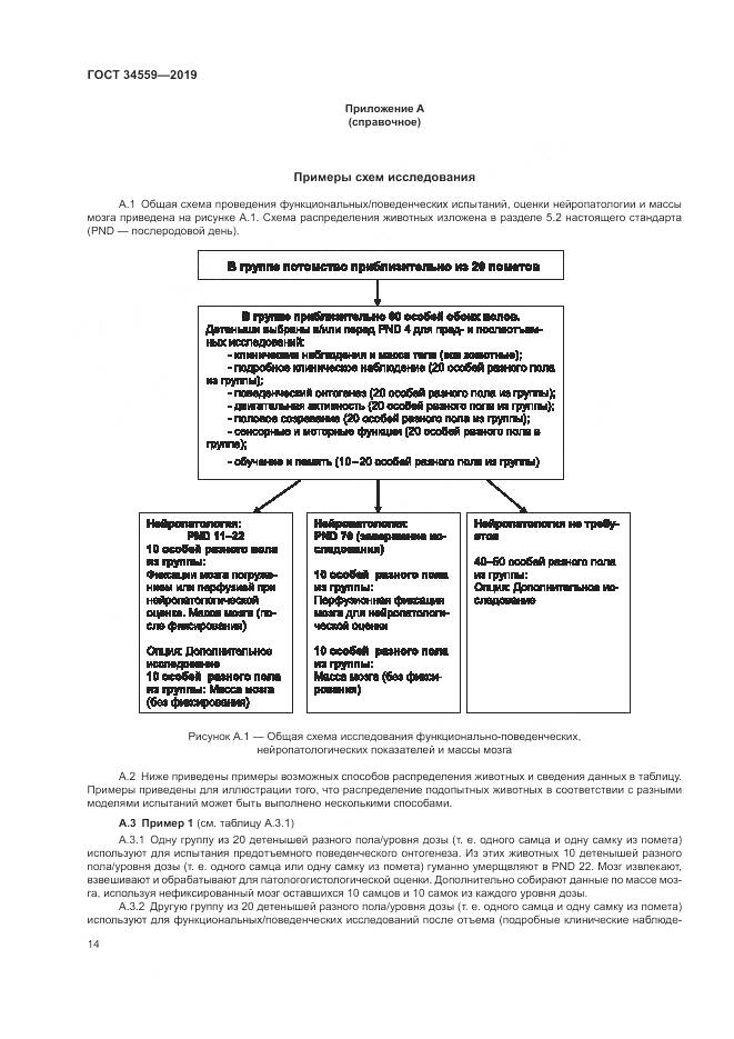 ГОСТ 34559-2019, страница 21
