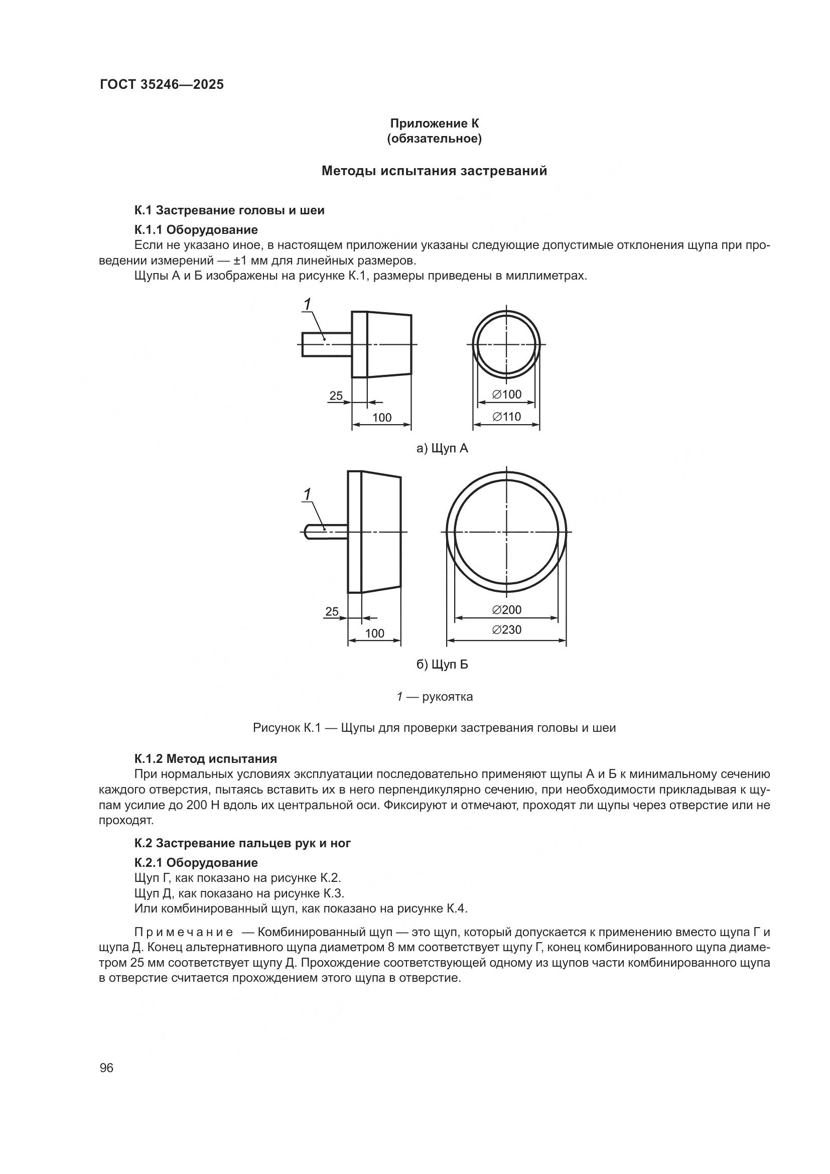 ГОСТ 35246-2025, страница 100