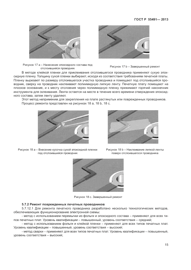 ГОСТ Р 55491-2013, страница 17