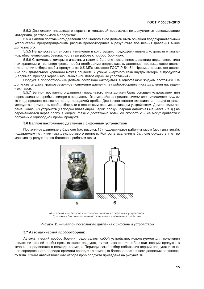 ГОСТ Р 55609-2013, страница 19
