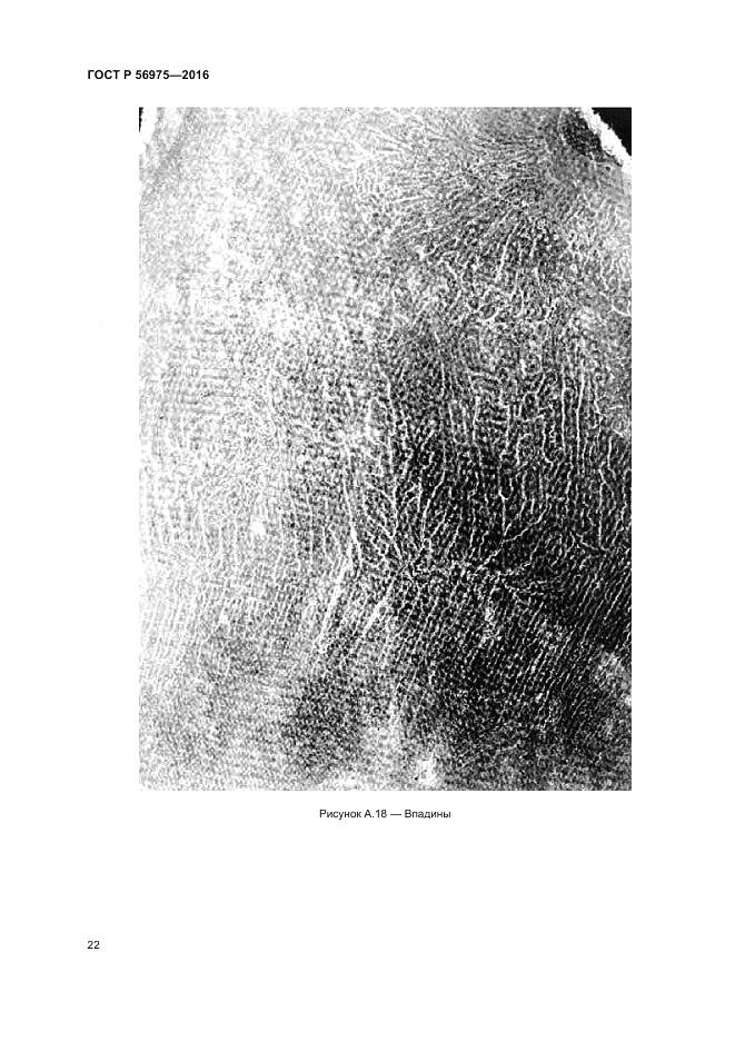 ГОСТ Р 56975-2016, страница 26