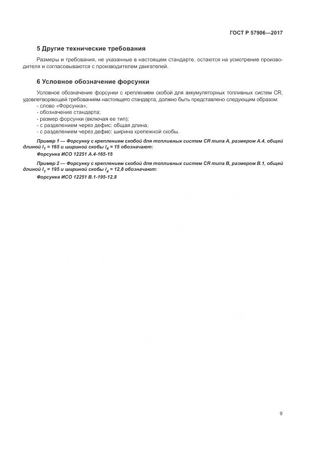 ГОСТ Р  57906-2017, страница 13