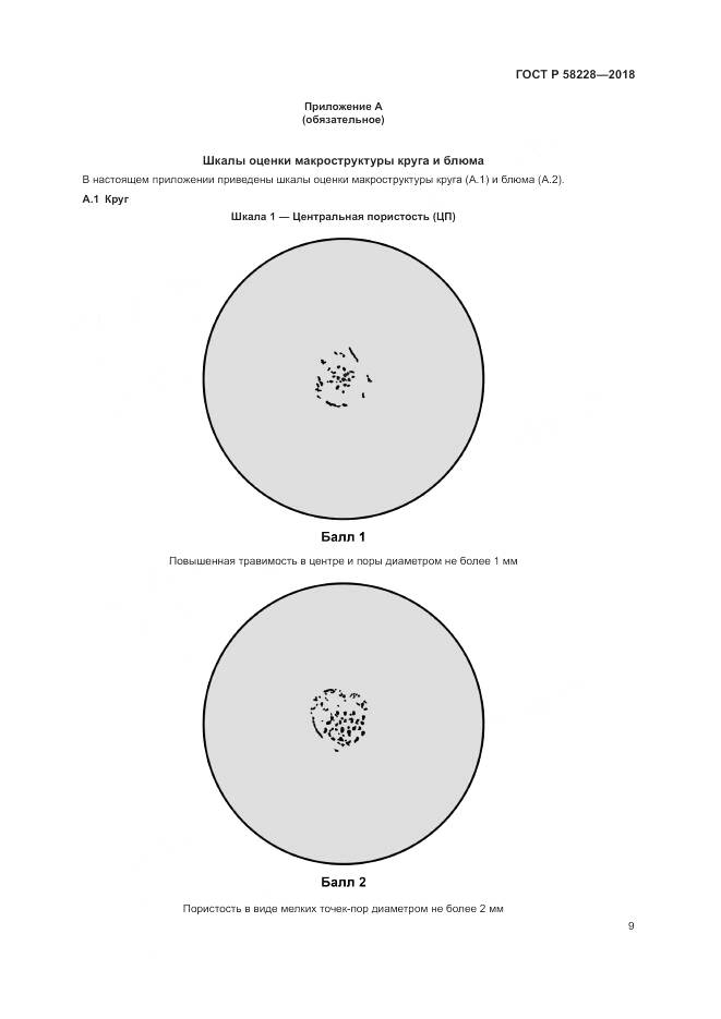 ГОСТ Р 58228-2018, страница 13