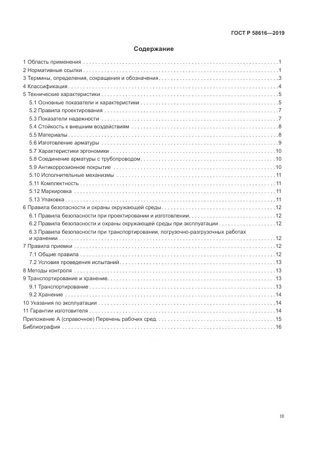 ГОСТ Р  58616-2019, страница 3