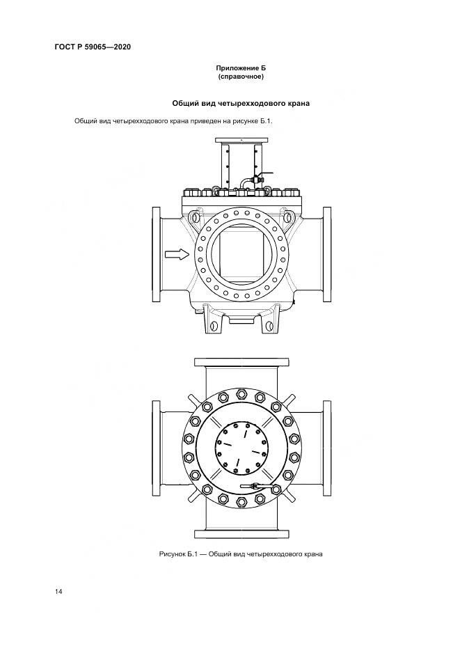 ГОСТ Р  59065-2020, страница 18