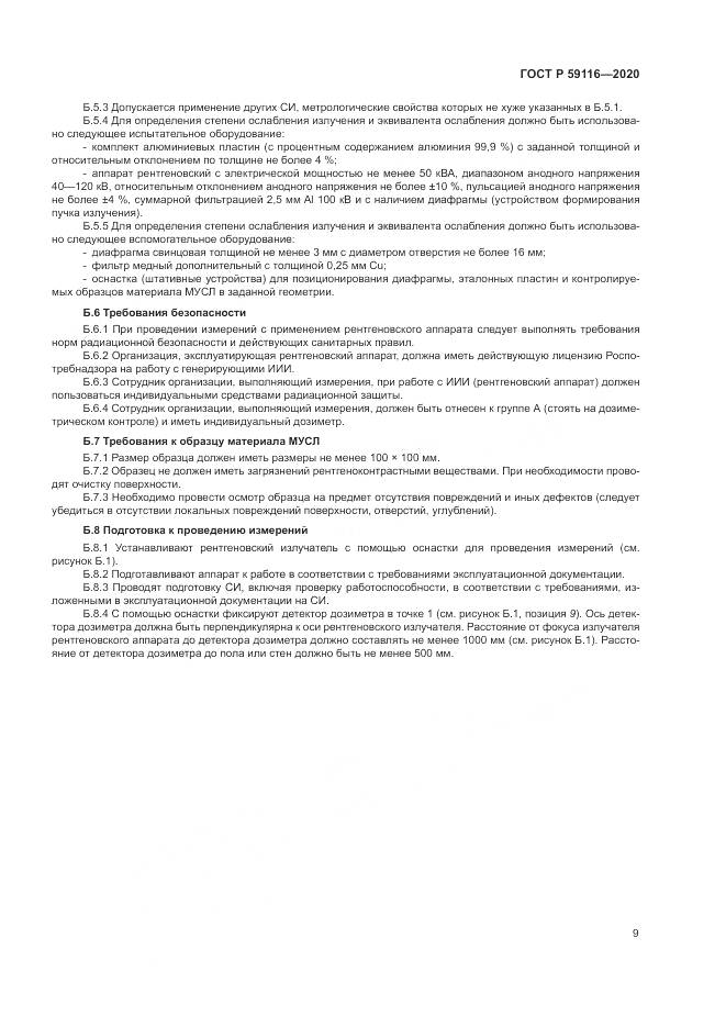 ГОСТ Р  59116-2020, страница 13