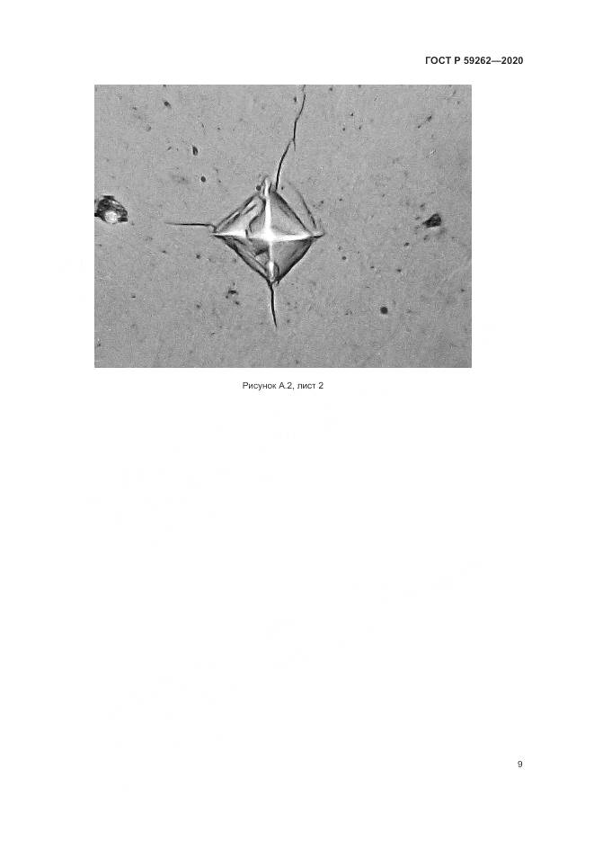 ГОСТ Р  59262-2020, страница 11