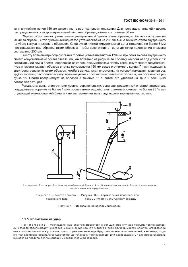 ГОСТ IEC 60079-30-1-2011, страница 12
