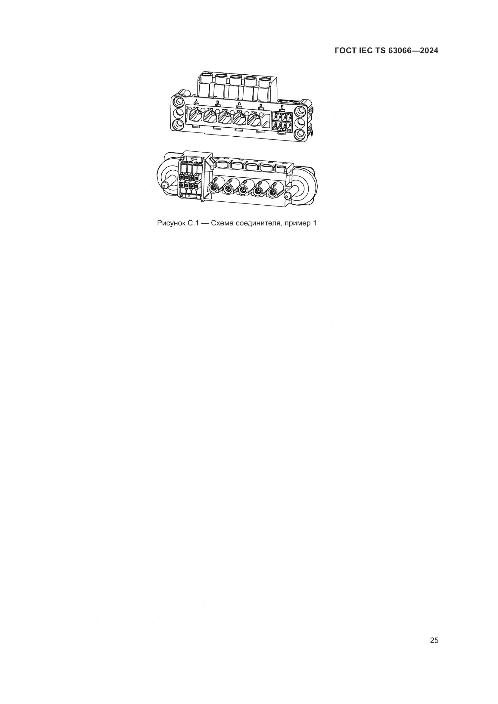 ГОСТ IEC TS 63066-2024, страница 31