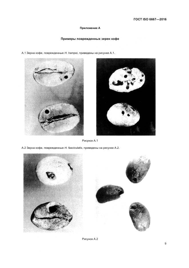 ГОСТ ISO 6667-2016, страница 15