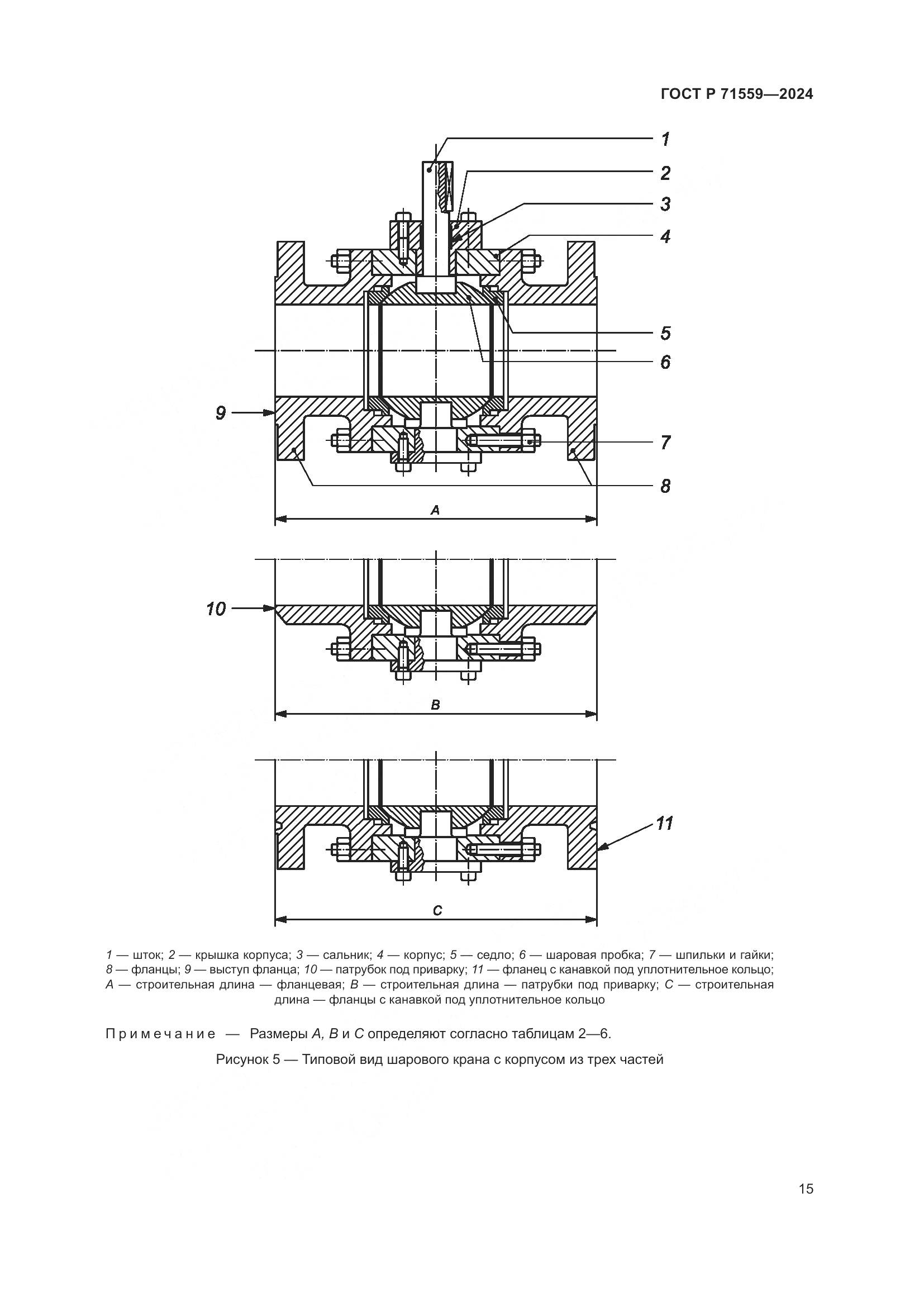 ГОСТ Р 71559-2024, страница 19