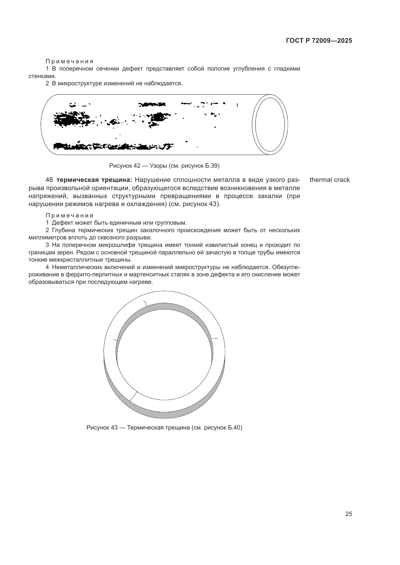 ГОСТ Р 72009-2025, страница 29