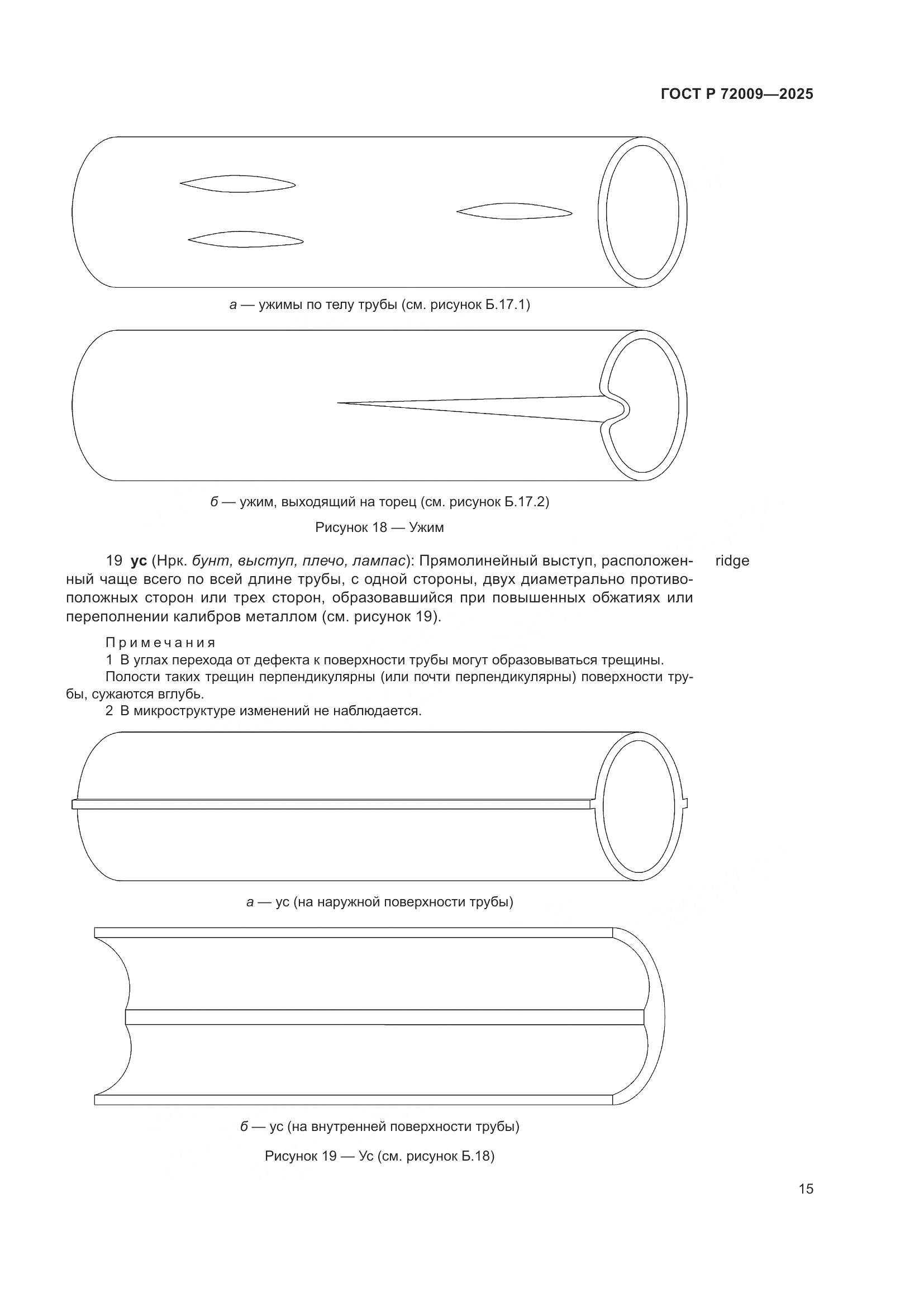 ГОСТ Р 72009-2025, страница 19