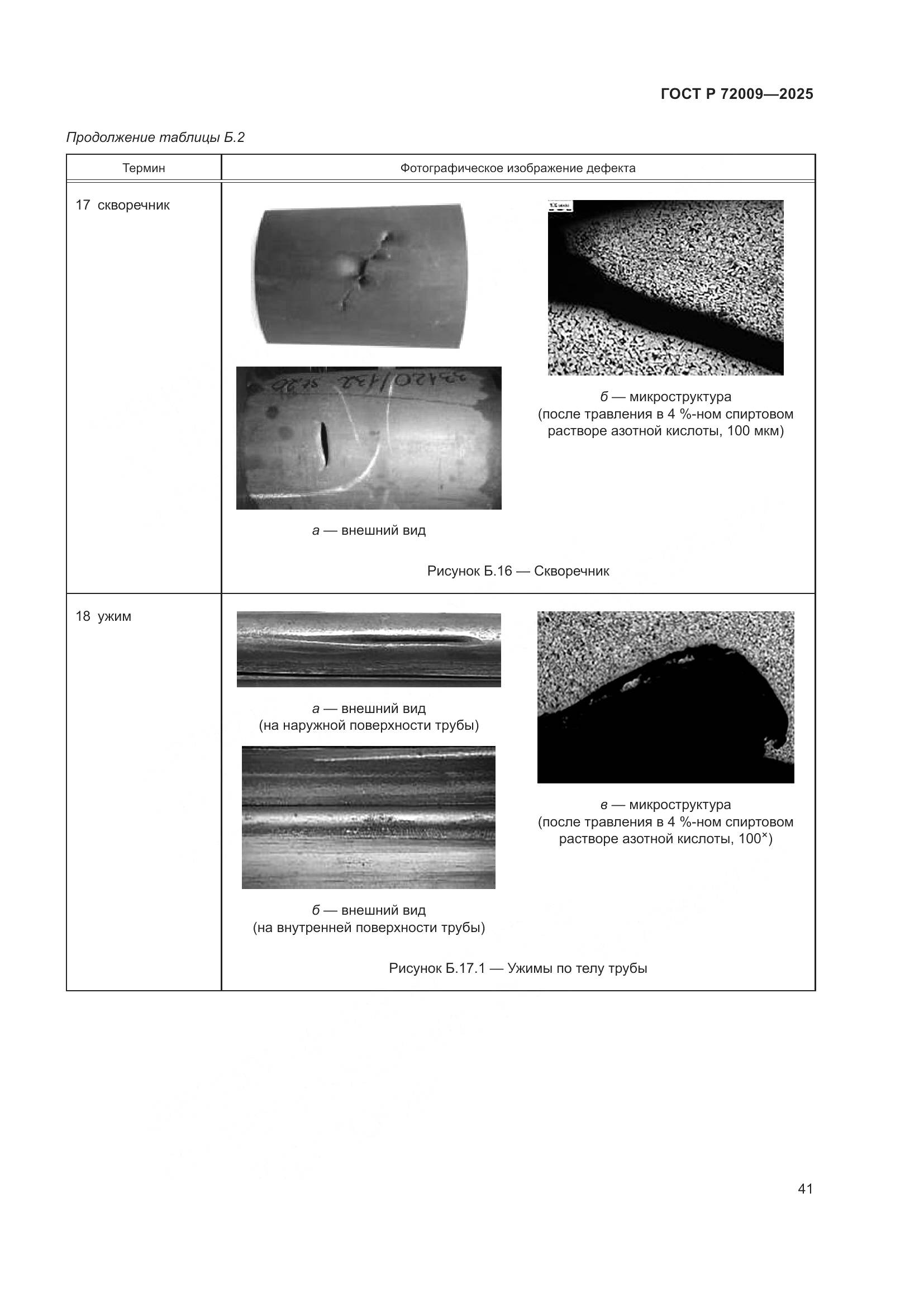 ГОСТ Р 72009-2025, страница 45