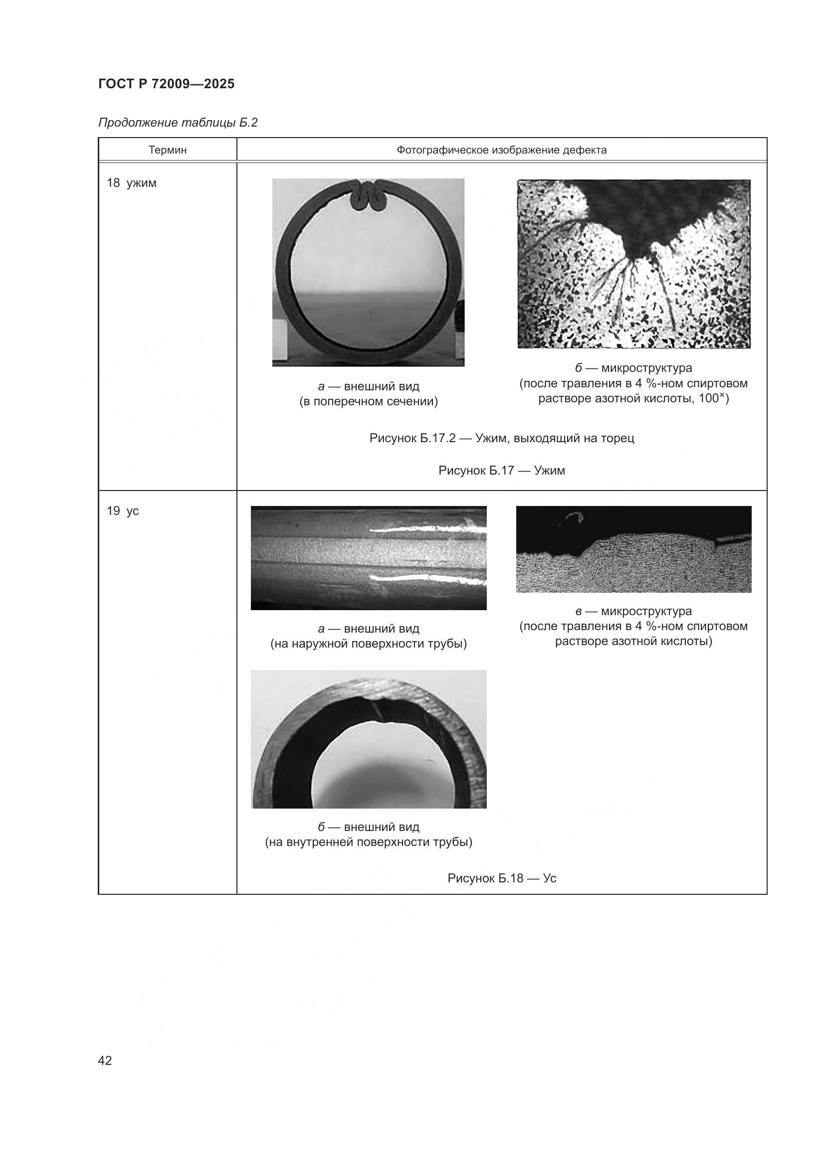 ГОСТ Р 72009-2025, страница 46
