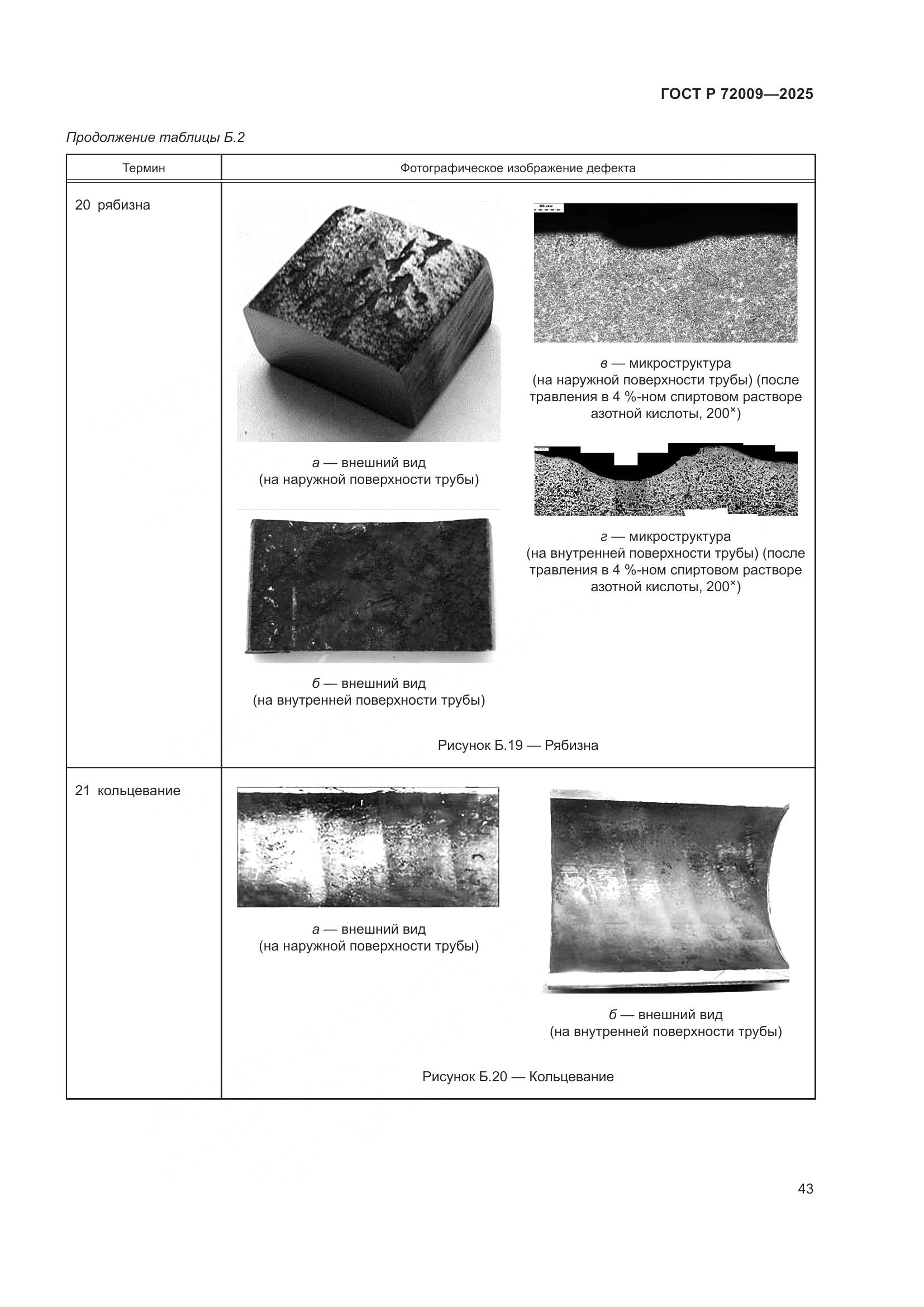 ГОСТ Р 72009-2025, страница 47