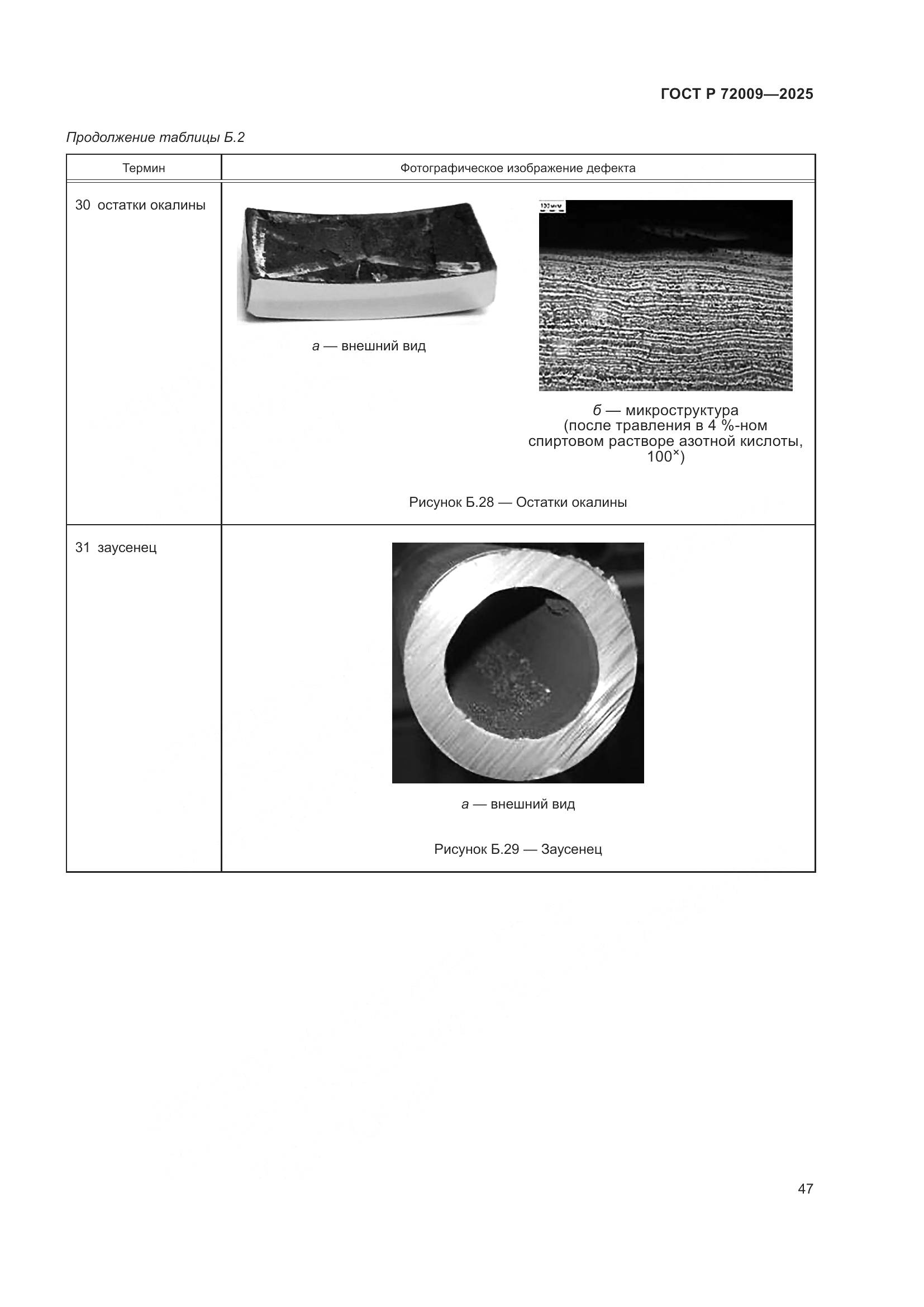 ГОСТ Р 72009-2025, страница 51