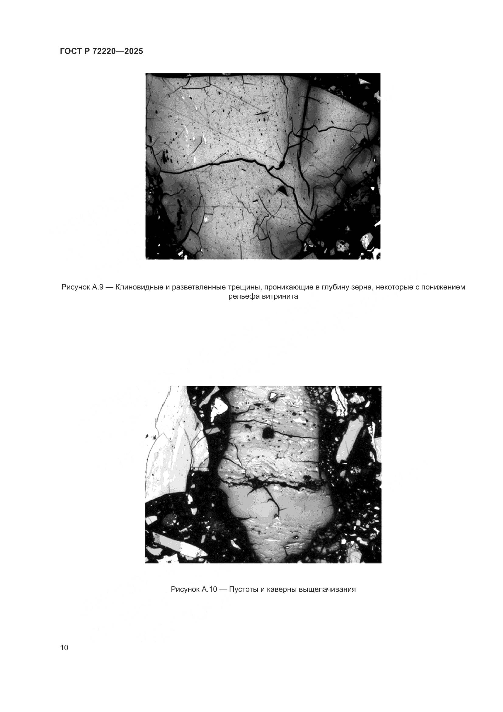 ГОСТ Р 72220-2025, страница 12
