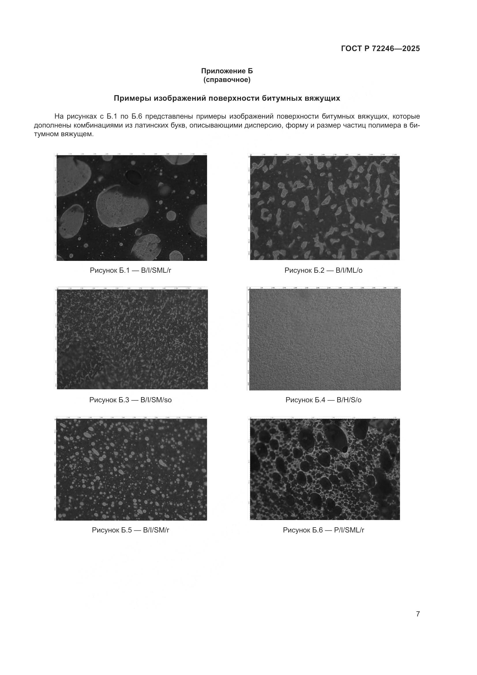 ГОСТ Р 72246-2025, страница 11