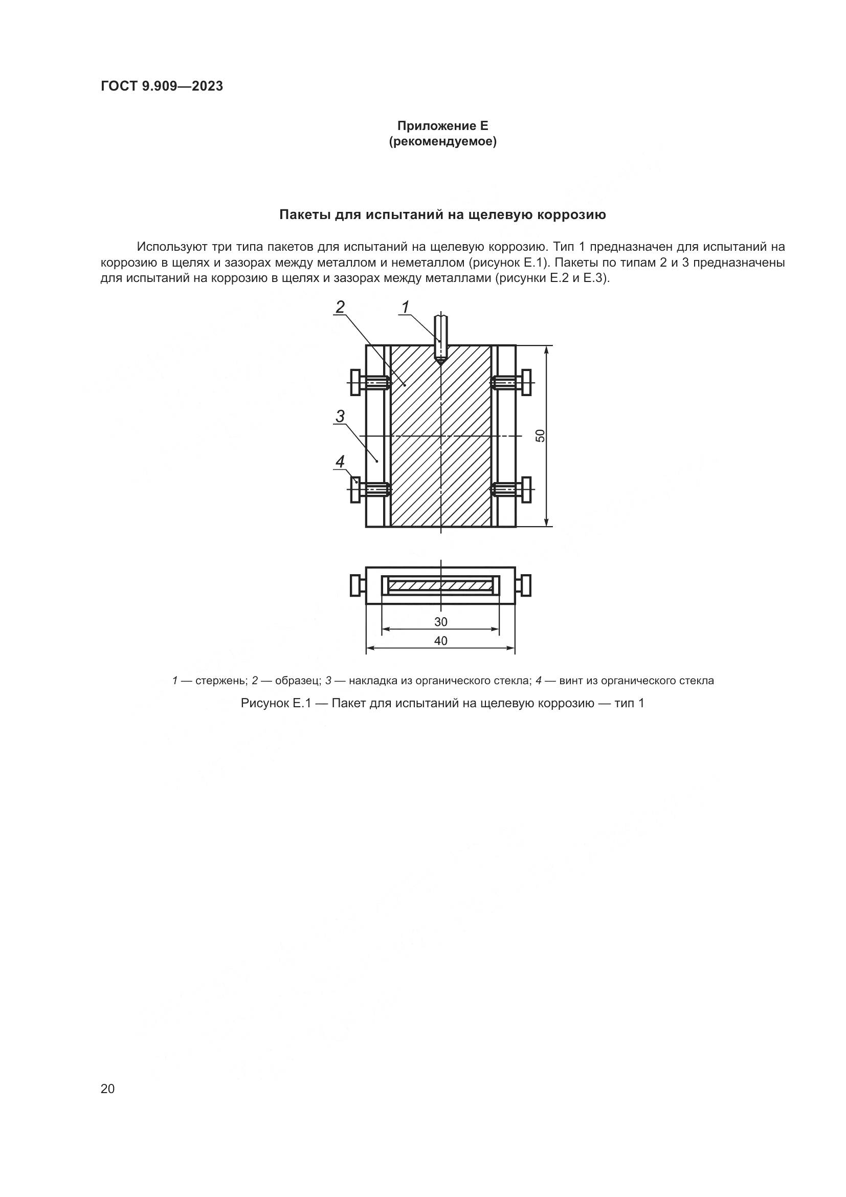 ГОСТ 9.909-2023, страница 25
